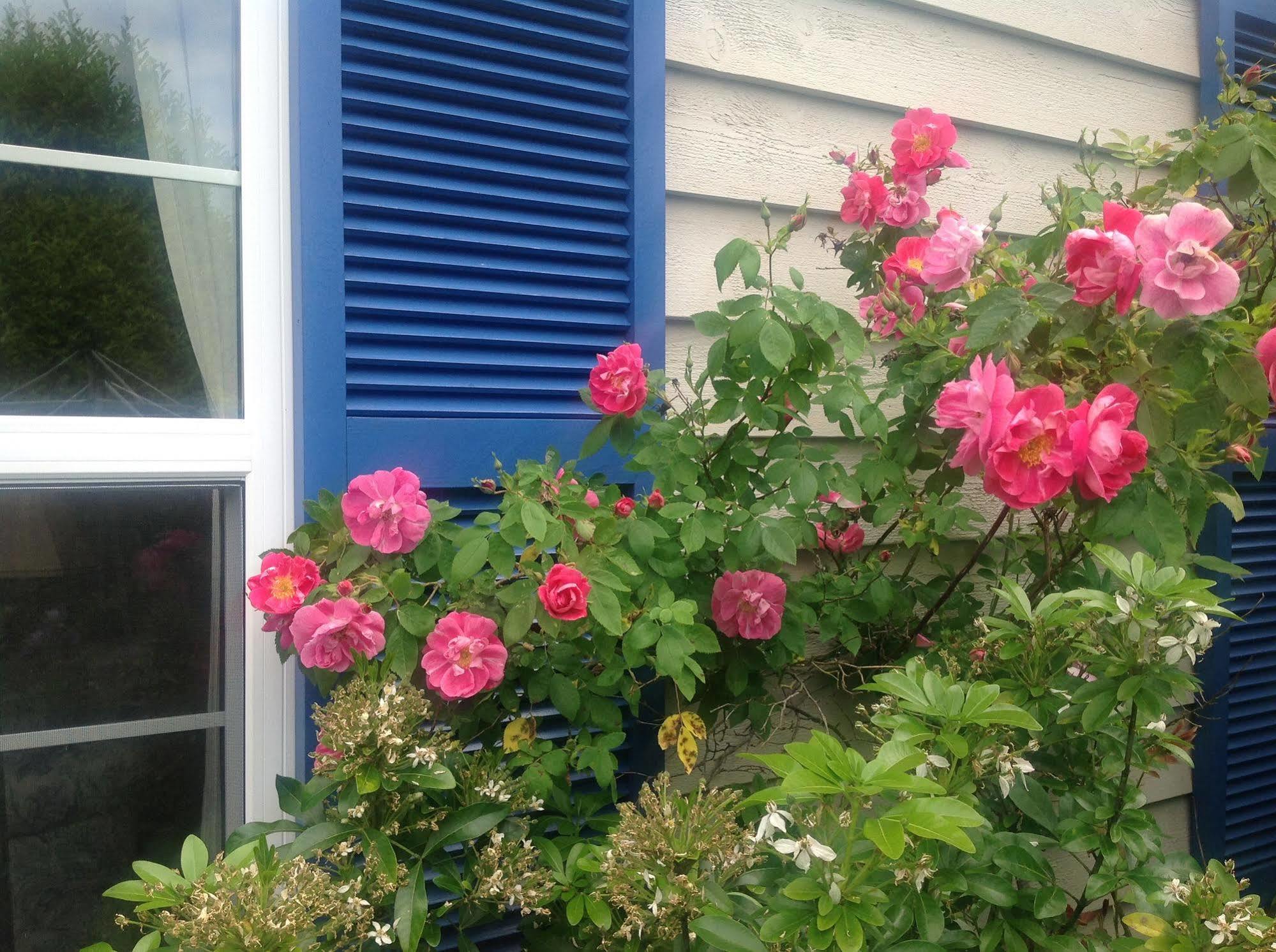 Belle Maison Aupres De La Mer Sidney Εξωτερικό φωτογραφία